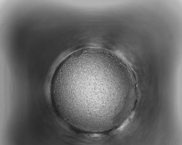 X0000093430151200710191033