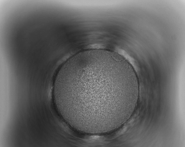 X0000093430153200710191033