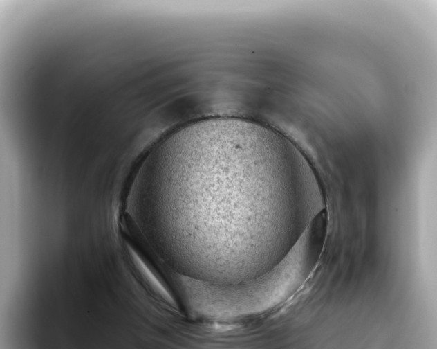 X0000093430154200710191033