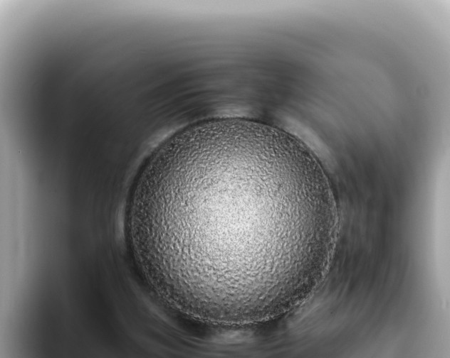 X0000093430155200710191033