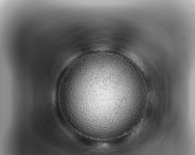 X0000093430159200710191033