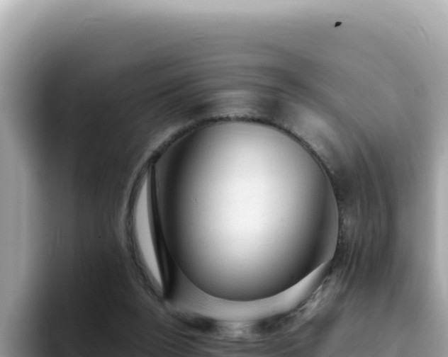 X0000093430160200710191033