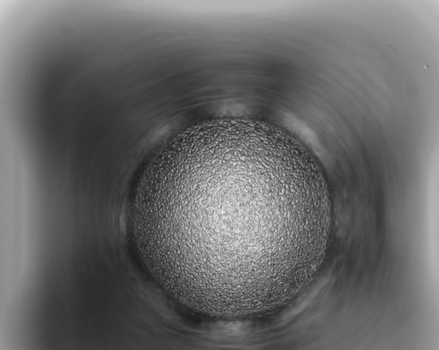 X0000093430161200710191033