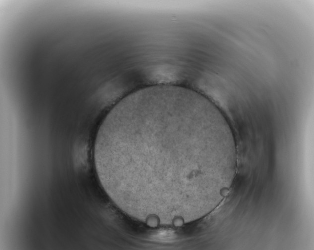 X0000093430162200710191033
