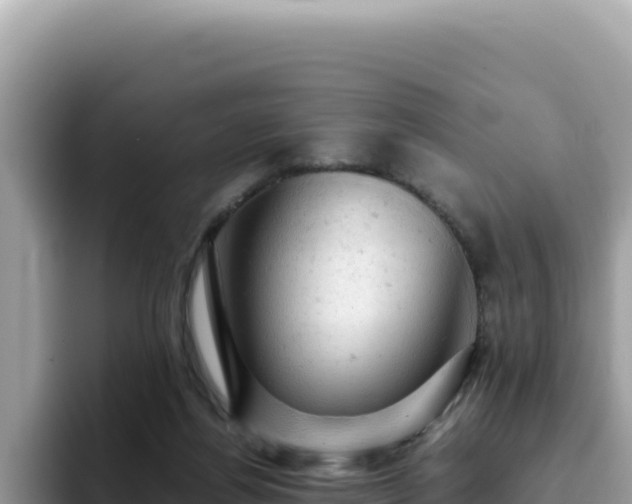 X0000093430164200710191033