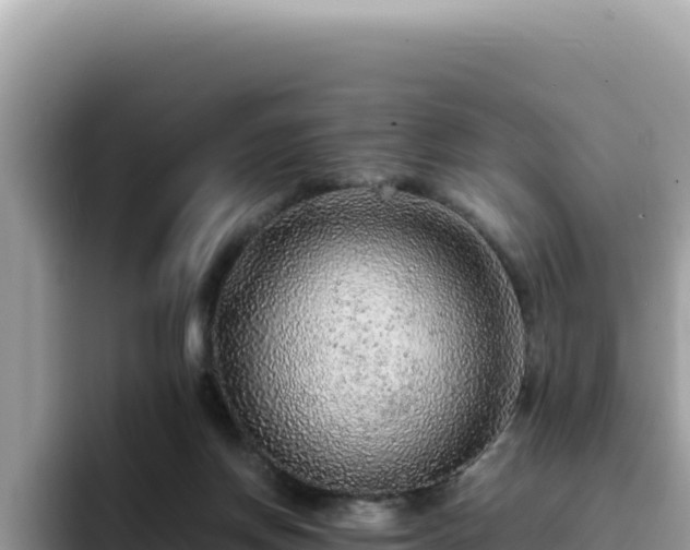 X0000093430166200710191033