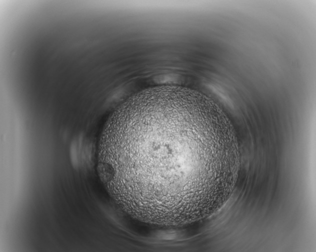 X0000093430171200710191034