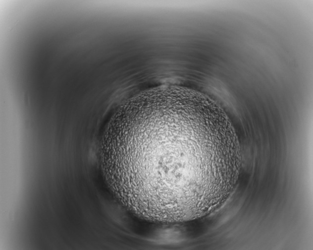 X0000093430175200710191034