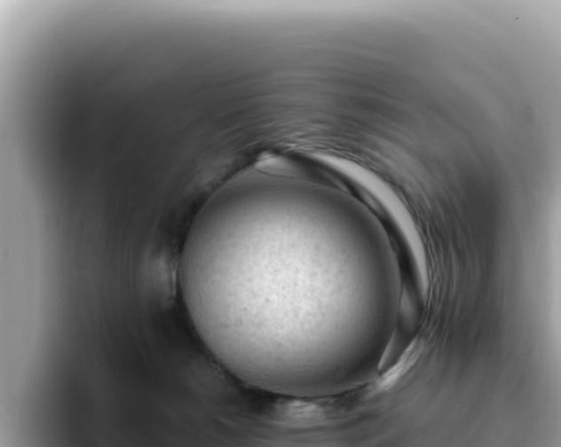 X0000093430180200710191034