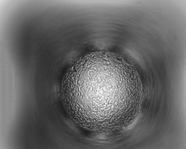X0000093430182200710191034