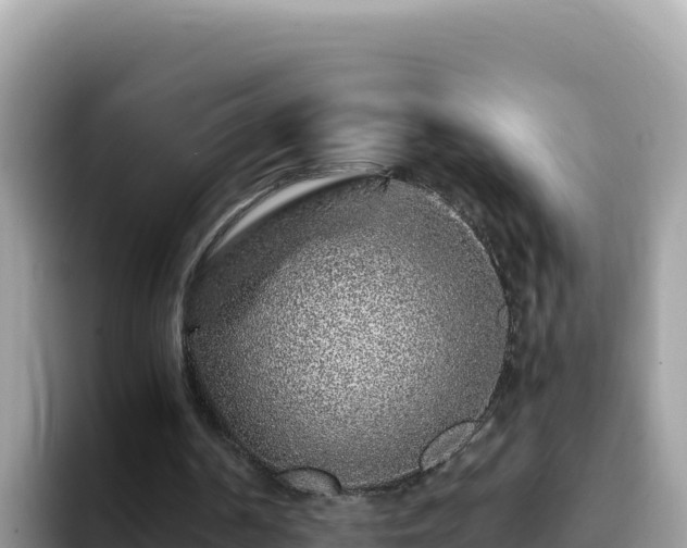 X0000093430194200710191033