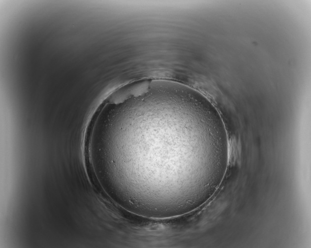 X0000093430195200710191033