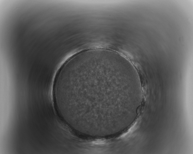 X0000093430196200710191033