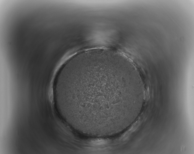 X0000093430198200710191033
