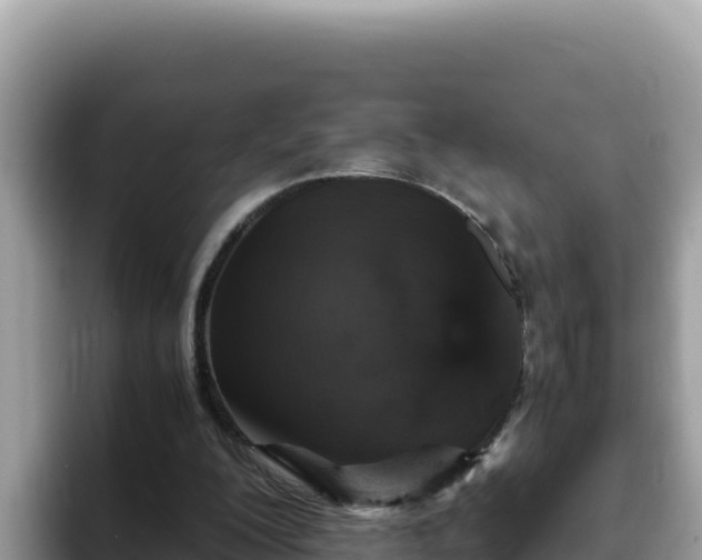 X0000093430200200710191033