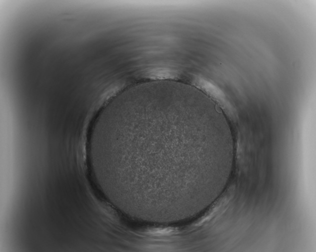 X0000093430202200710191033
