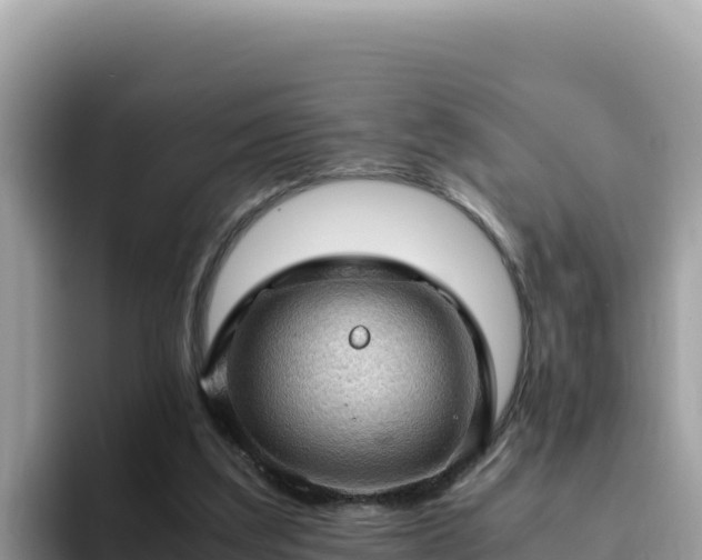 X0000093430203200710191033