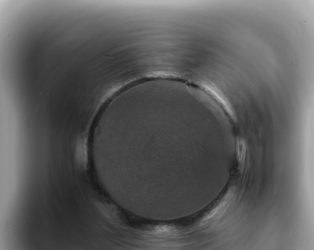 X0000093430204200710191033
