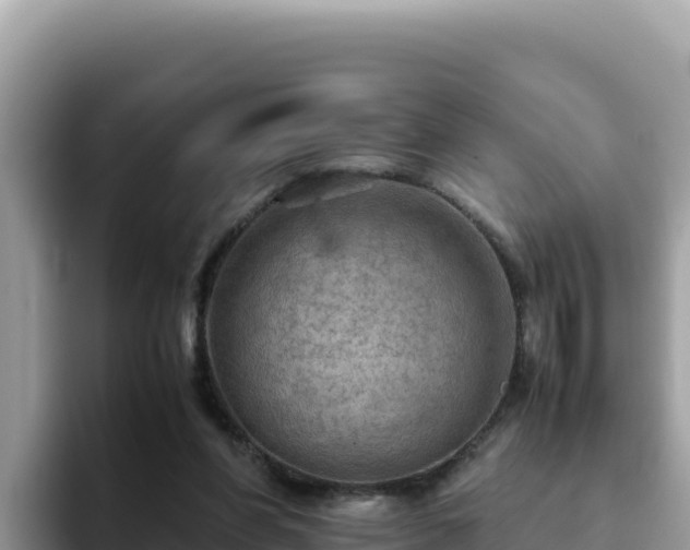 X0000093430206200710191033