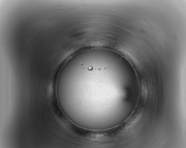 X0000093430208200710191033