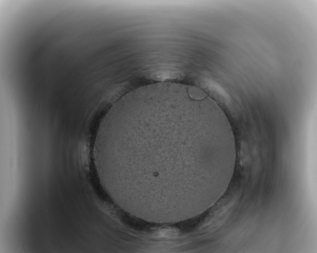 X0000093430210200710191033
