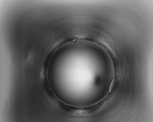 X0000093430212200710191033