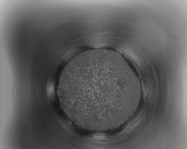 X0000093430214200710191033