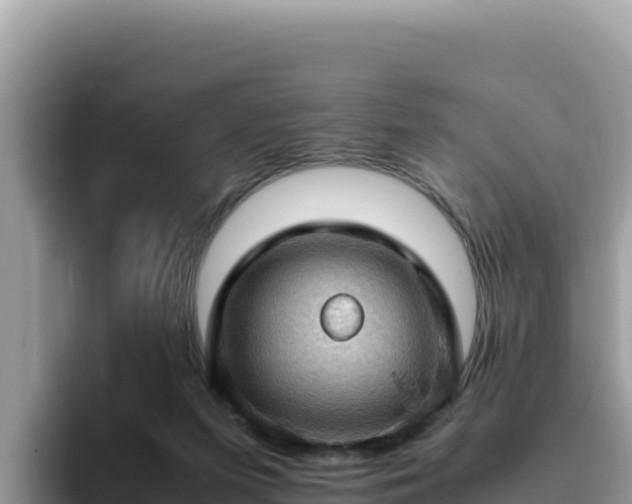 X0000093430215200710191033