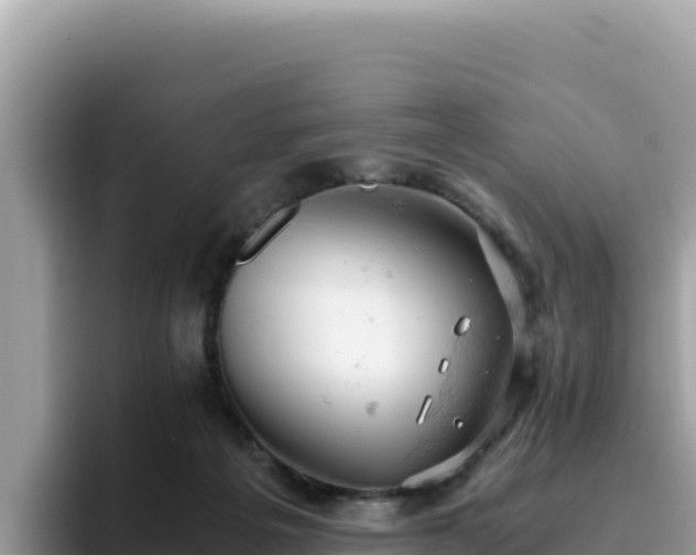X0000093430217200710191033