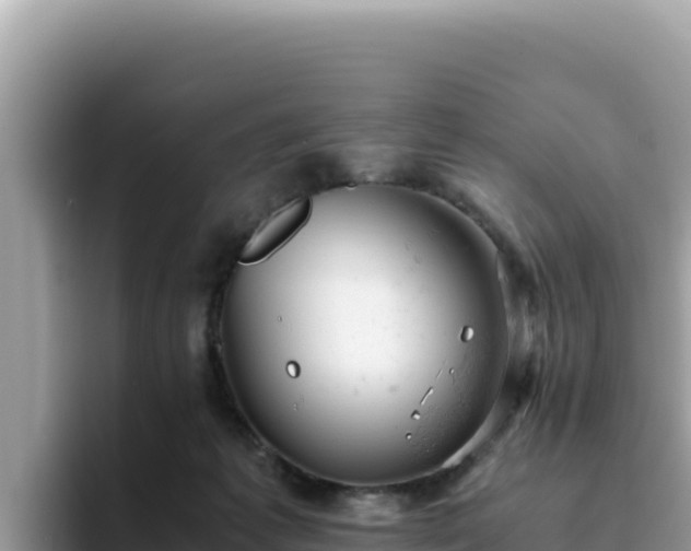 X0000093430221200710191033