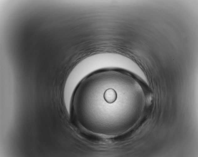 X0000093430227200710191033