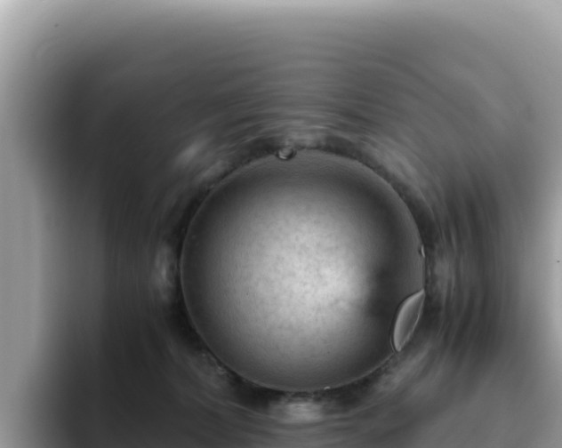 X0000093430228200710191033