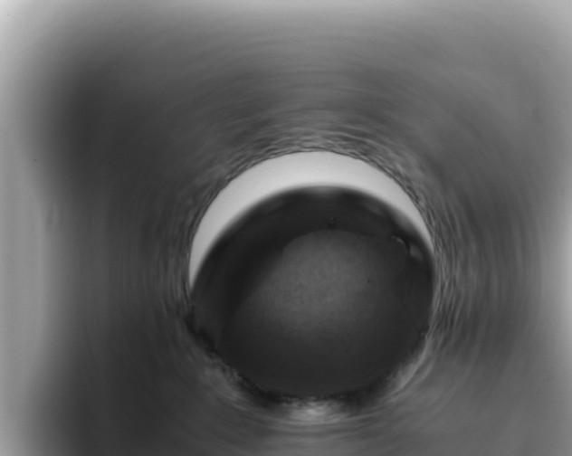 X0000093430235200710191033