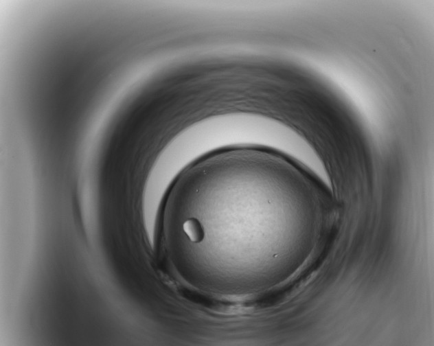 X0000093430239200710191033