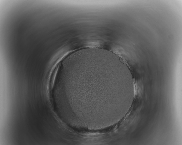 X0000093430243200710191032