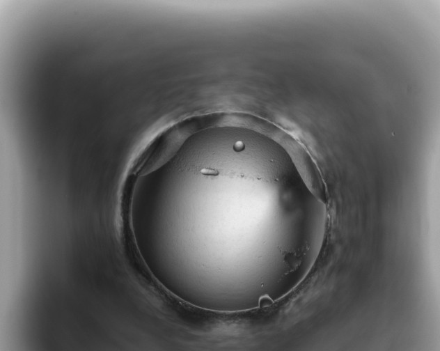 X0000093430248200710191032