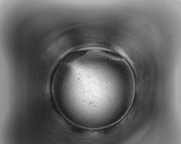X0000093430249200710191032
