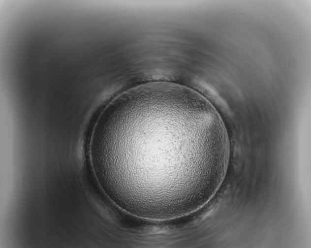 X0000093430250200710191032
