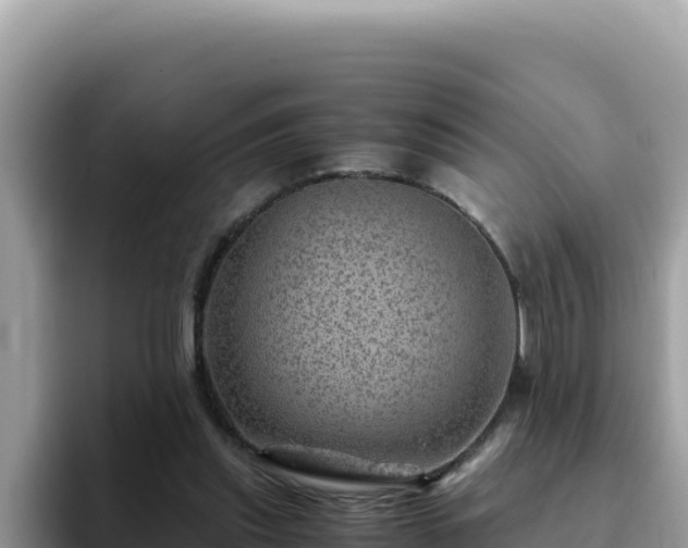 X0000093430253200710191032