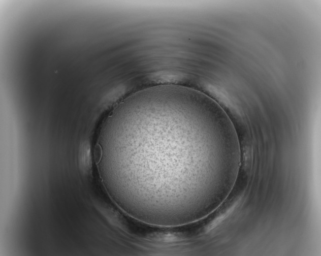 X0000093430254200710191032