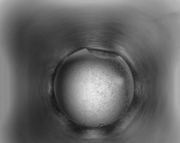 X0000093430259200710191032