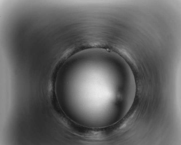 X0000093430260200710191032