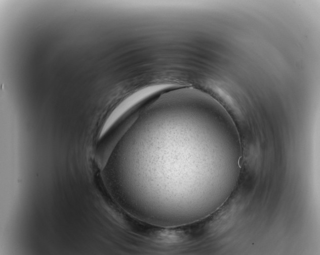 X0000093430261200710191032