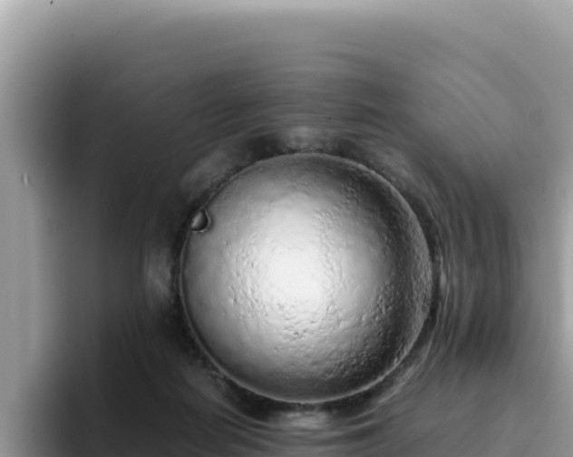 X0000093430266200710191032