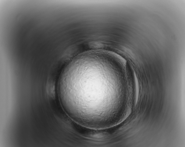 X0000093430267200710191032