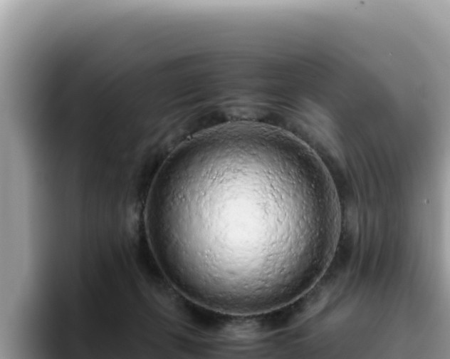 X0000093430271200710191032