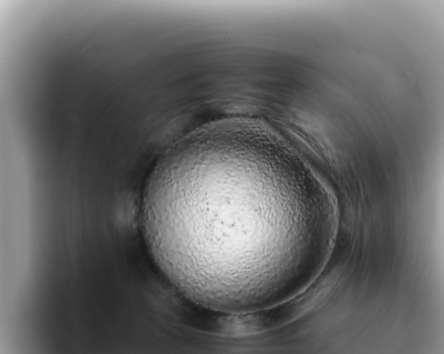 X0000093430273200710191032