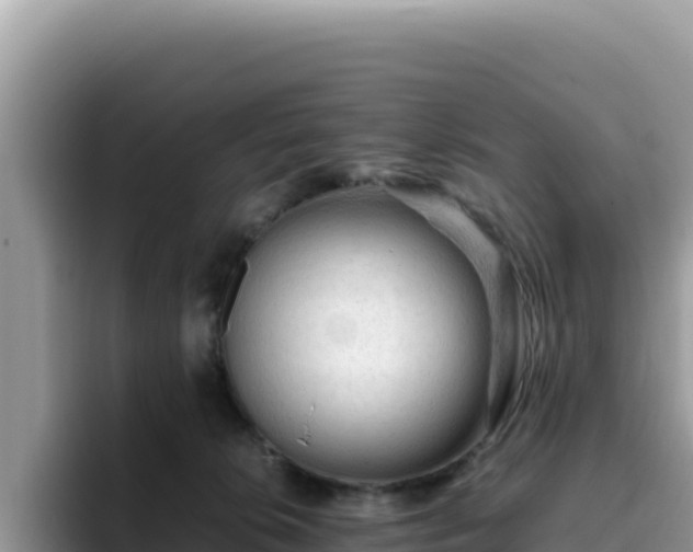 X0000093430276200710191032