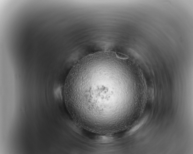 X0000093430286200710191033