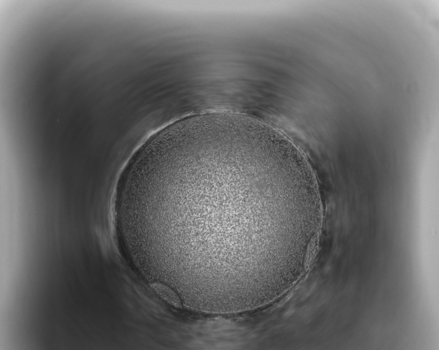 X0000093430290200710191032